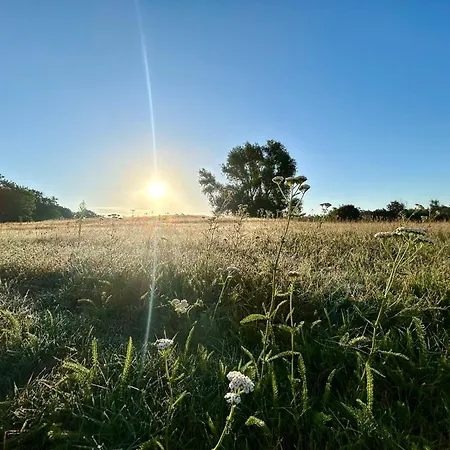 Bubble Tent By Reindahls Lüks kamp alanı