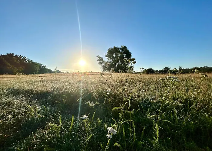 Bubble Tent By Reindahls ラグジュアリーテント
